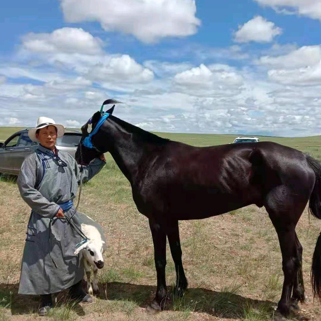 Сонинбаяар
