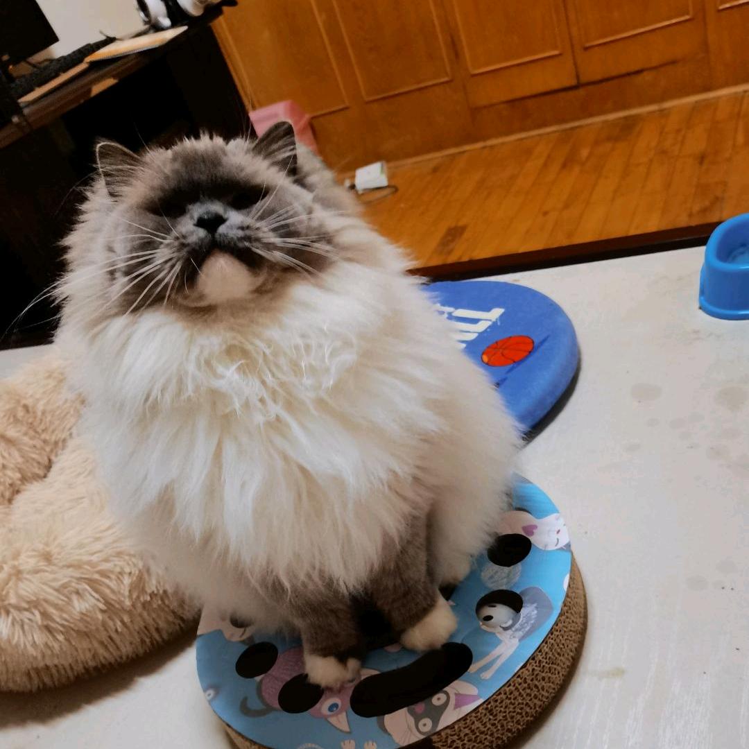 铁血