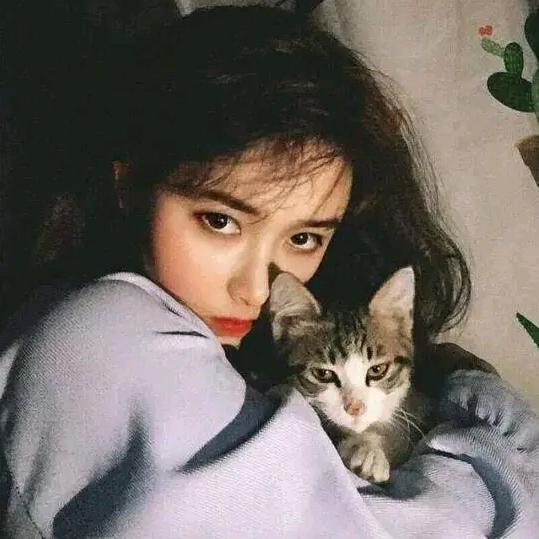 🖤    。。。。