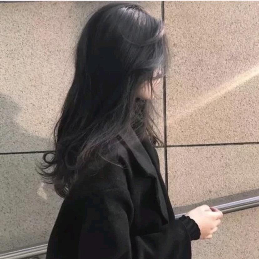 小燕子