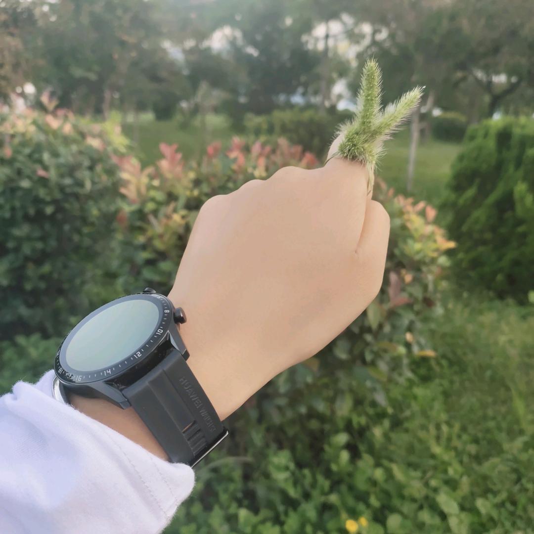 肉₍˄·͈༝·͈˄*₎◞ ̑̑肉拒绝连赞