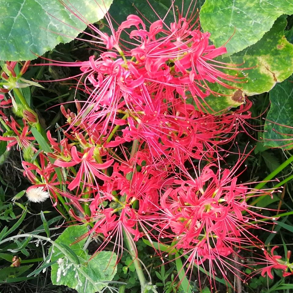 相守一生，陪你到老。