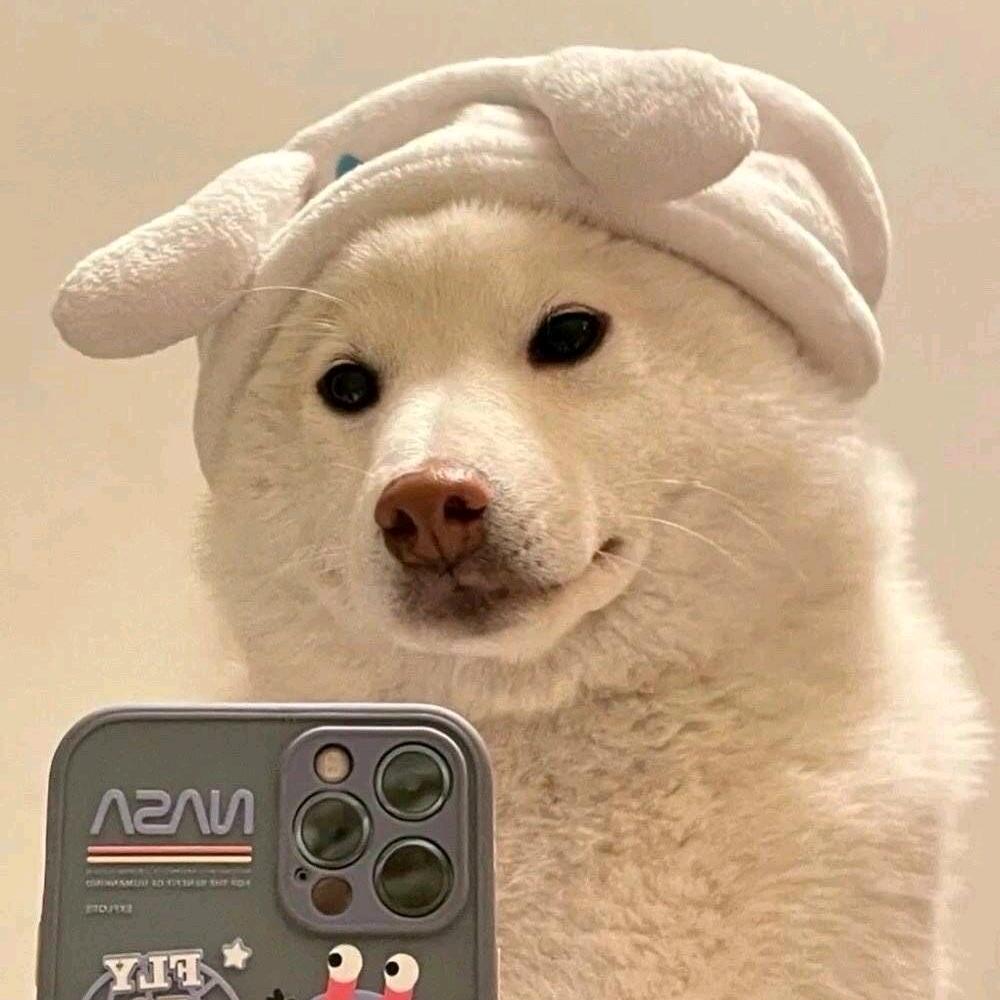 柒七…）