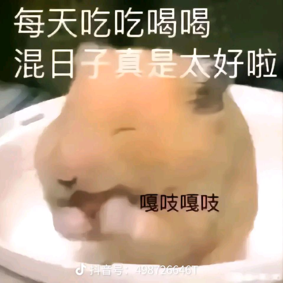 啊阳阳