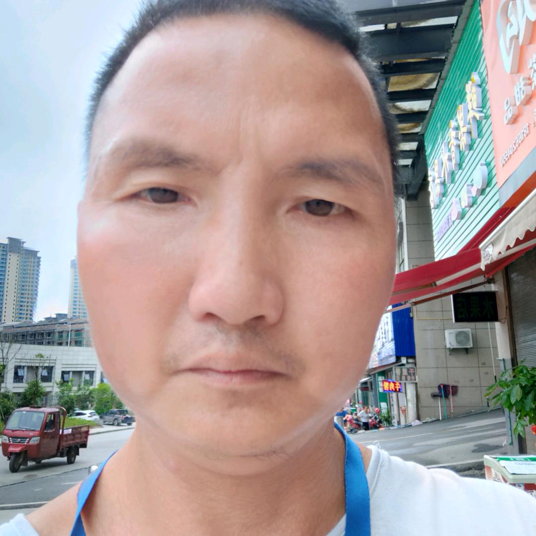 古树一腾