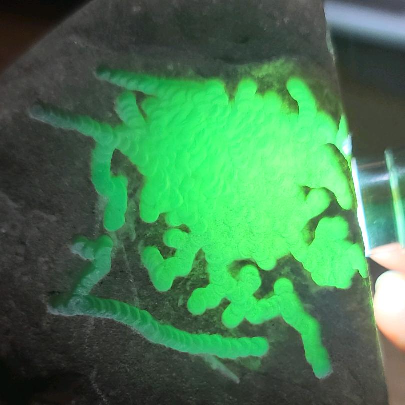 阿武翡翠