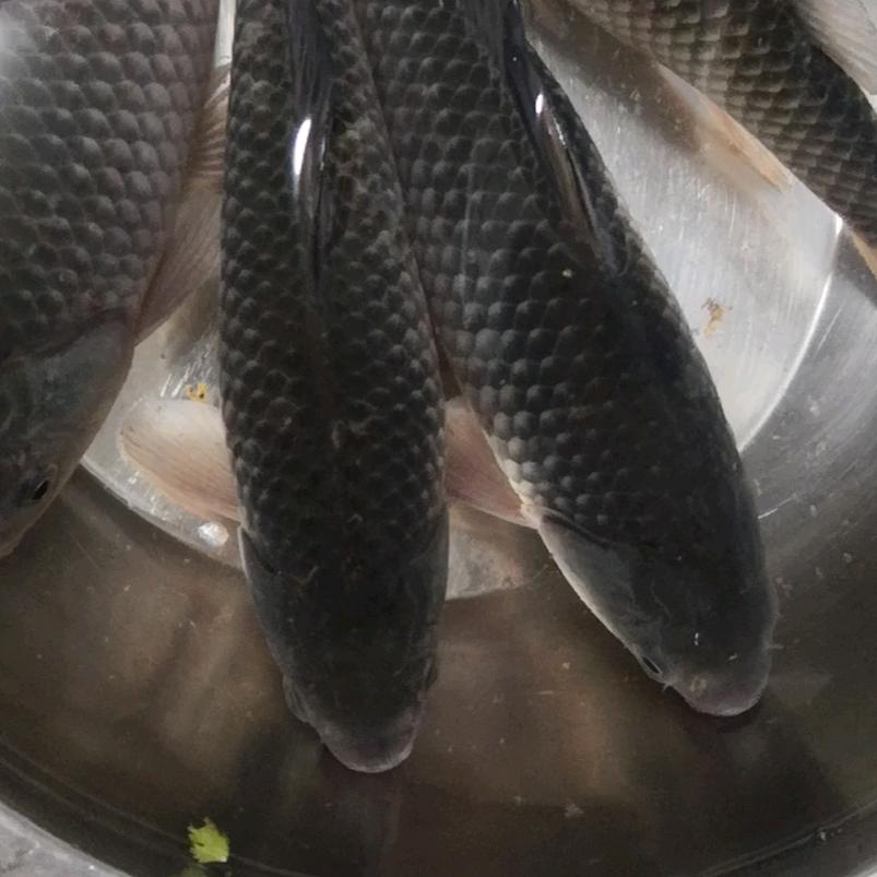 看不清