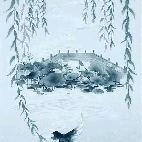 @入住抖音