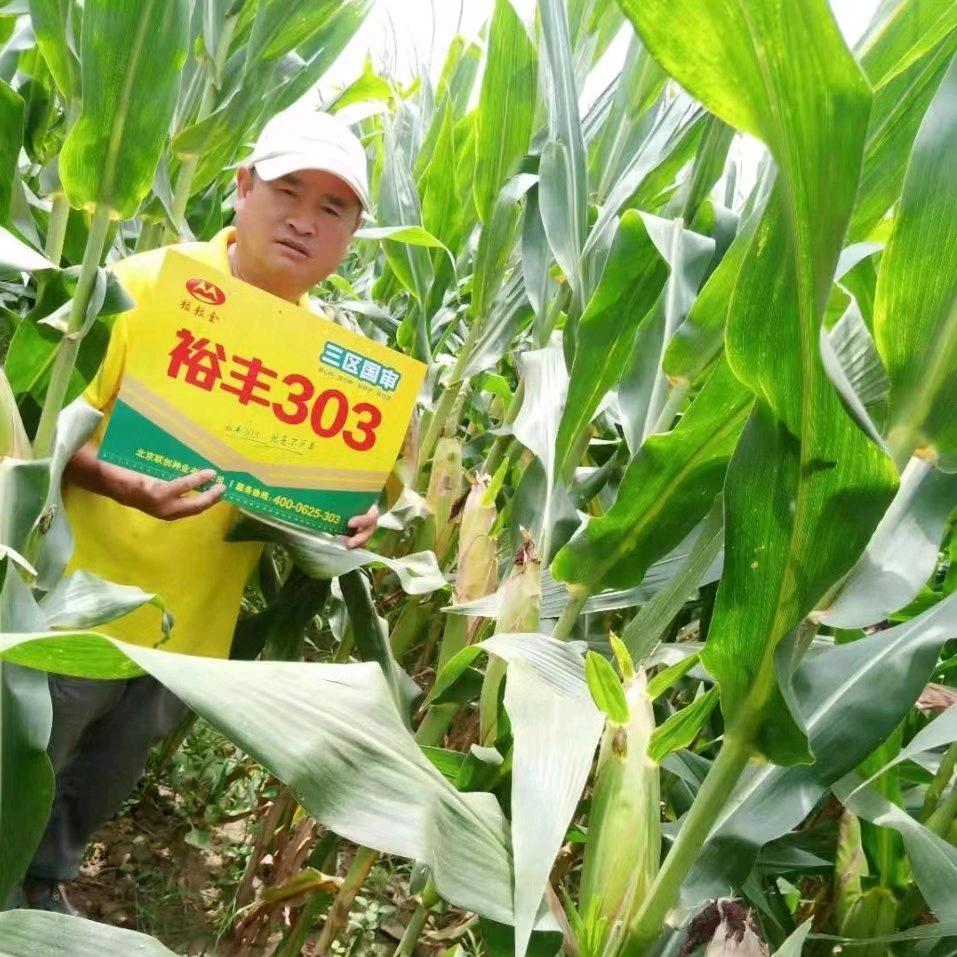 葛店苏大陆庄稼医生