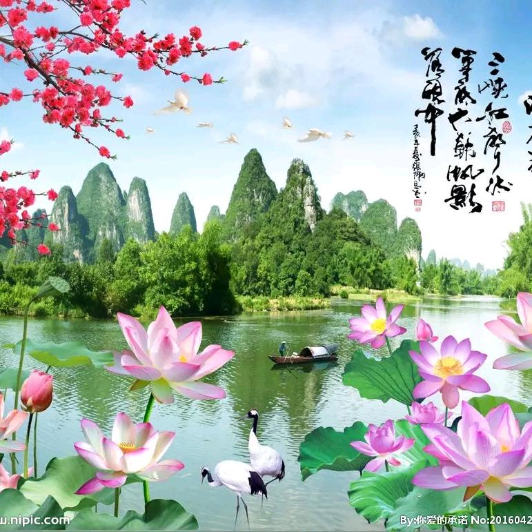 时光荏苒🌸