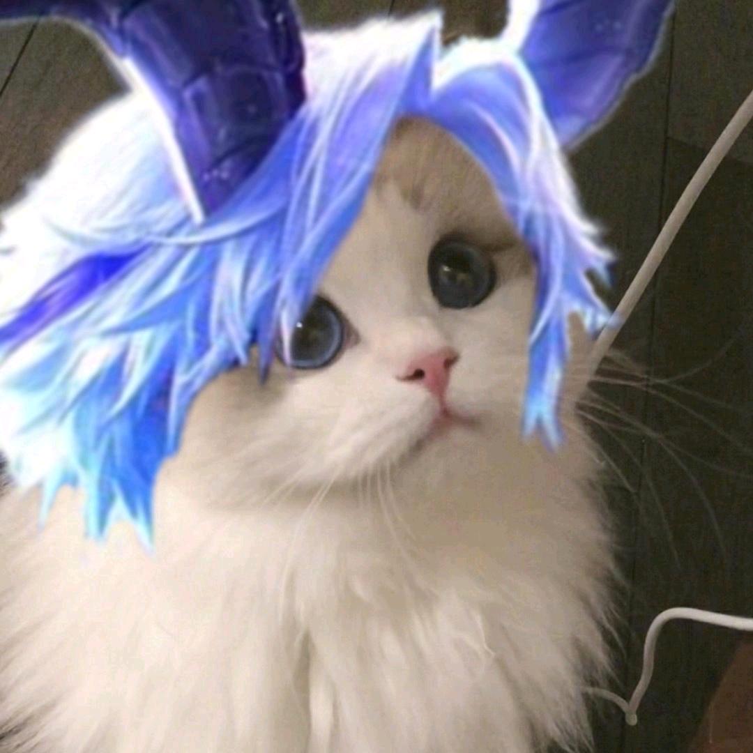 我是我不要说了