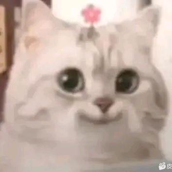 🌈🌈南城旧梦