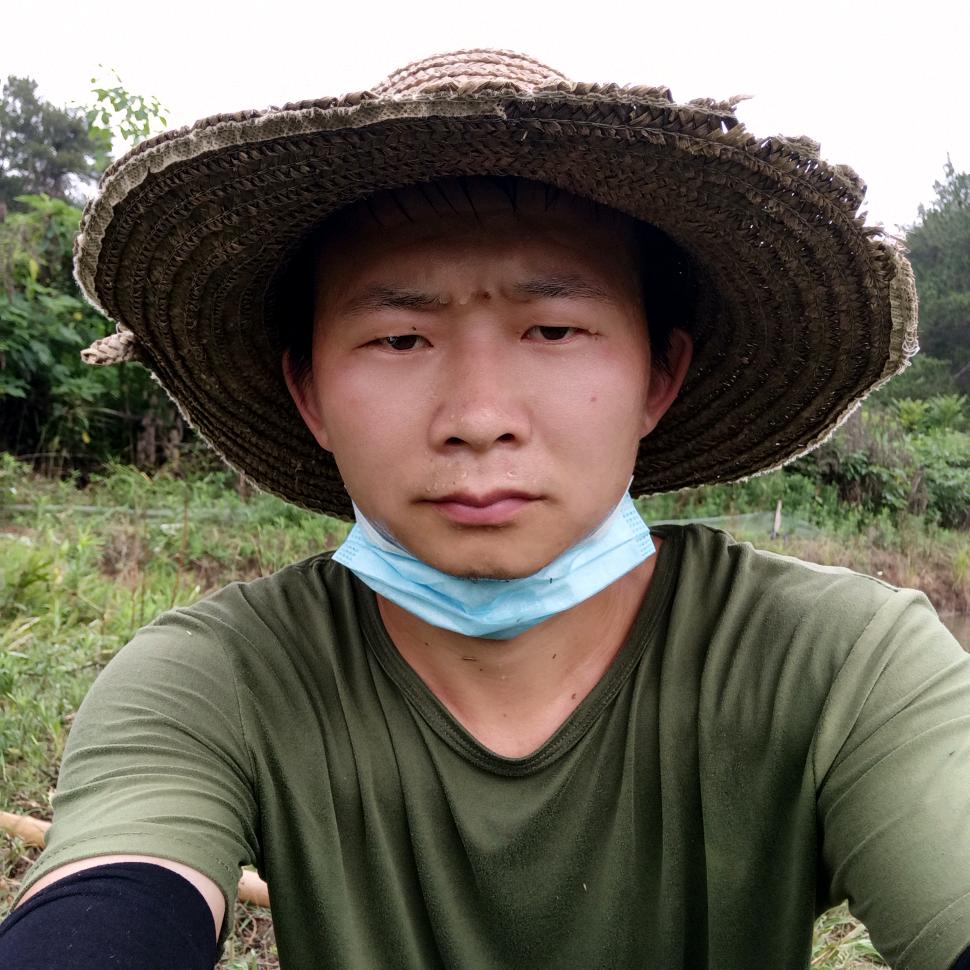 乡村小苏（高粱店养鸽人）