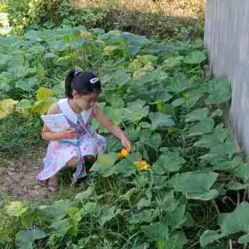 张三妹（拒绝私聊）