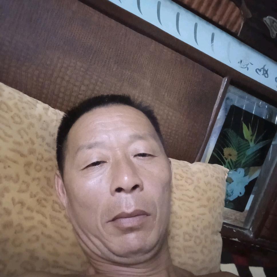 叶县龚店 牛羊
