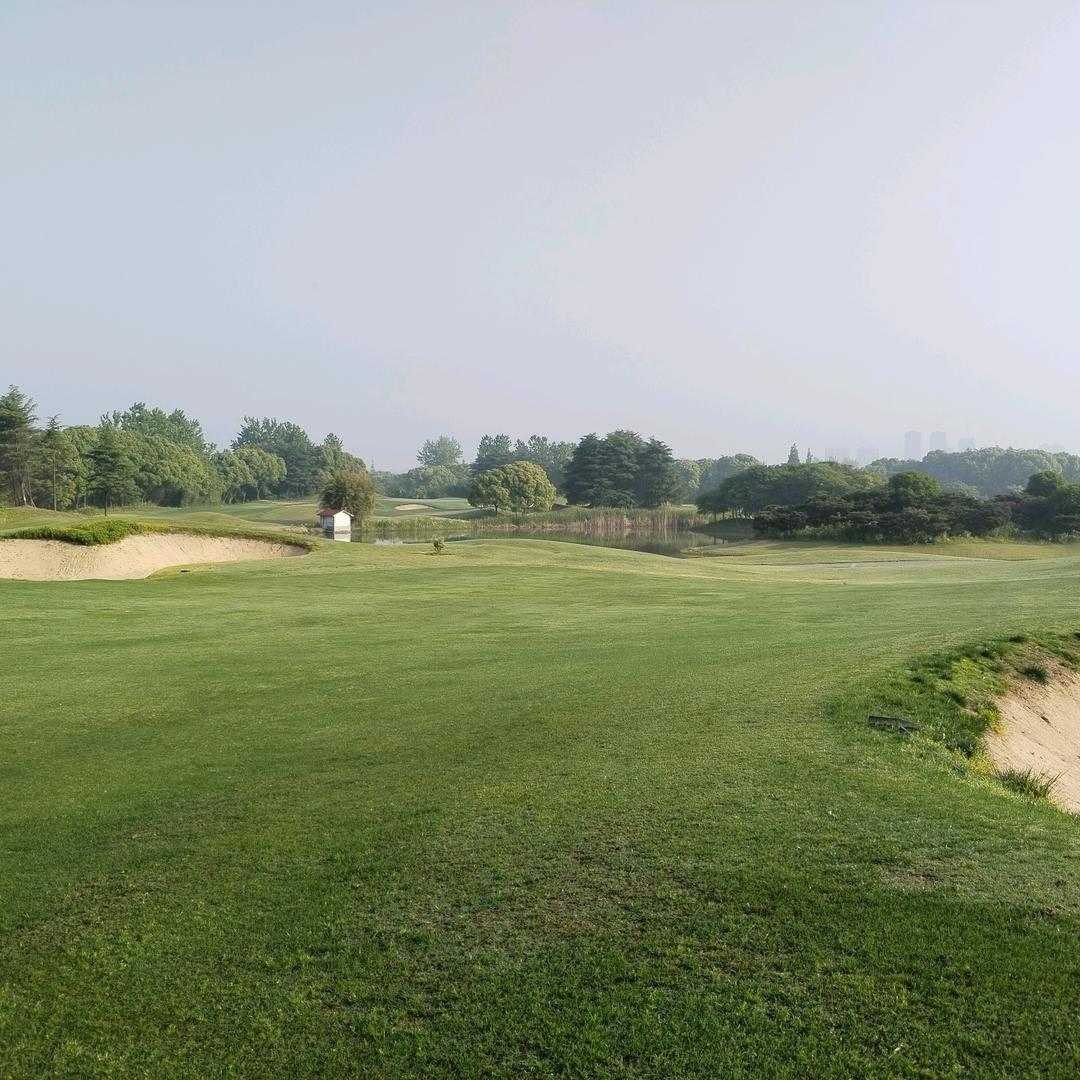 ( ¯•㉨•¯ )你的无耻打动了我