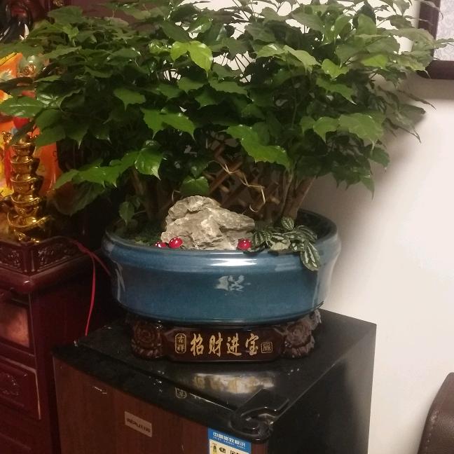 独自一人闯天涯