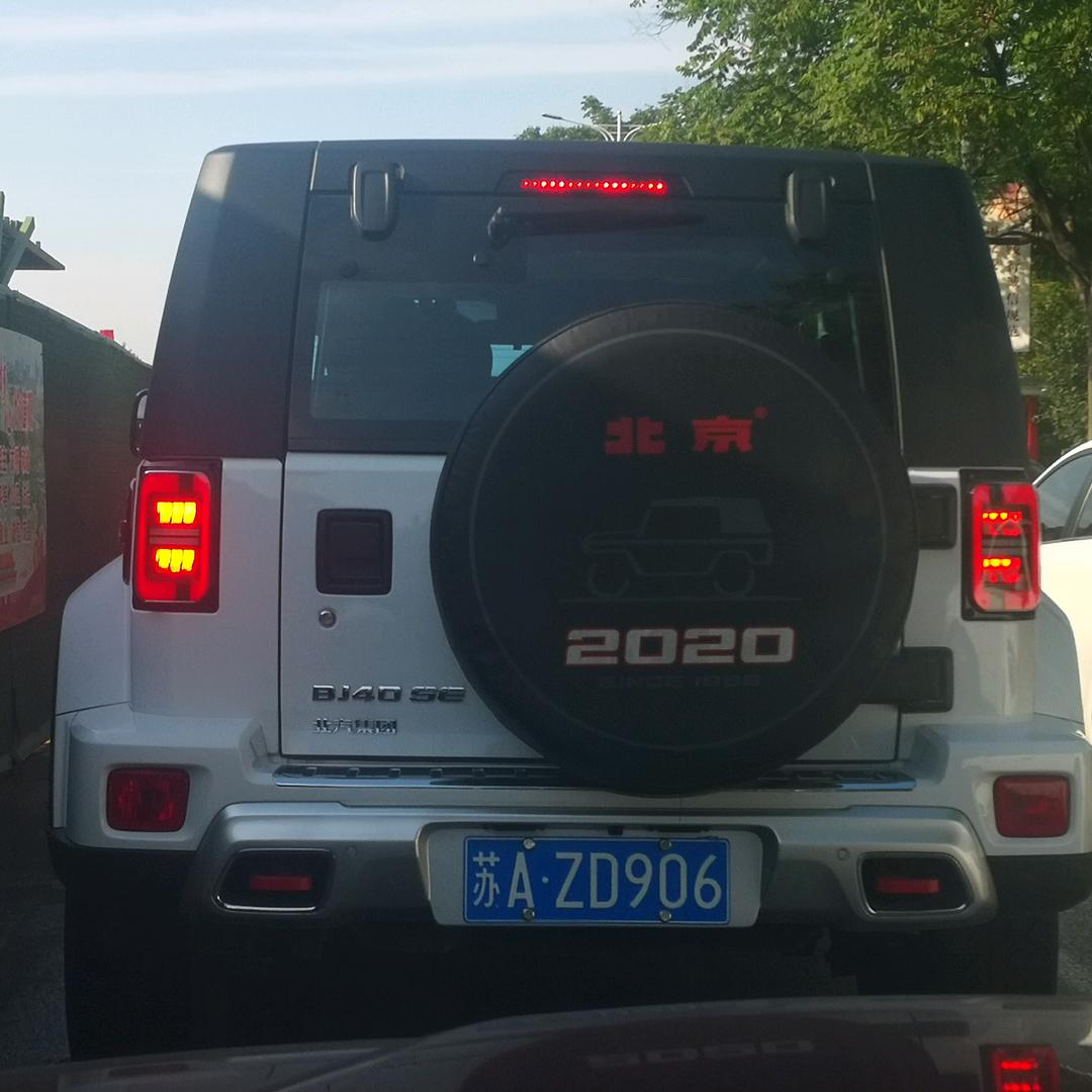 土耳其的兔子🐰