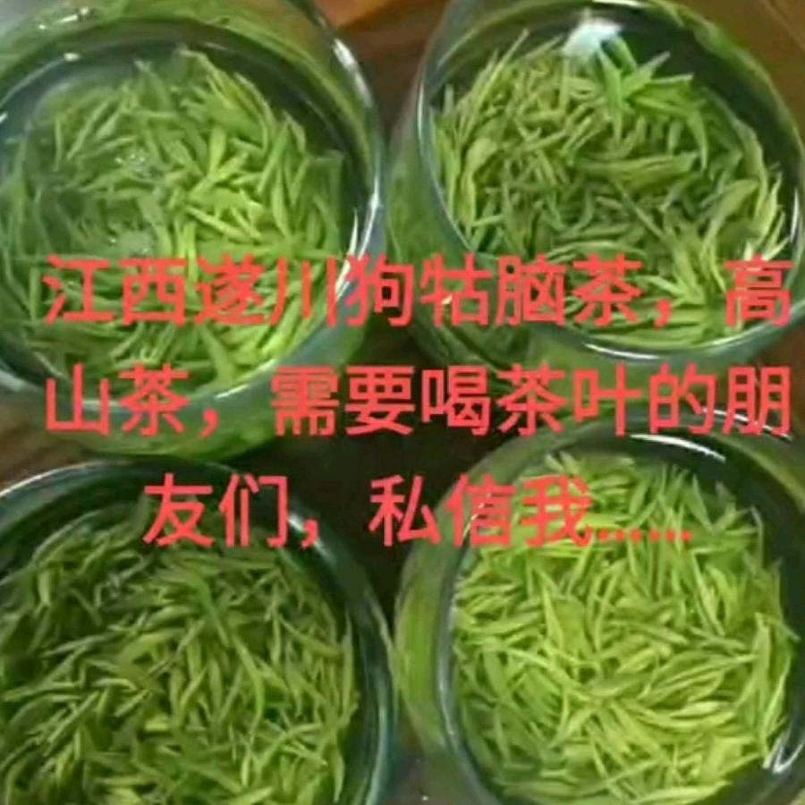 春天