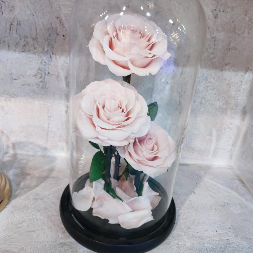 钟山区流星花园花卉店