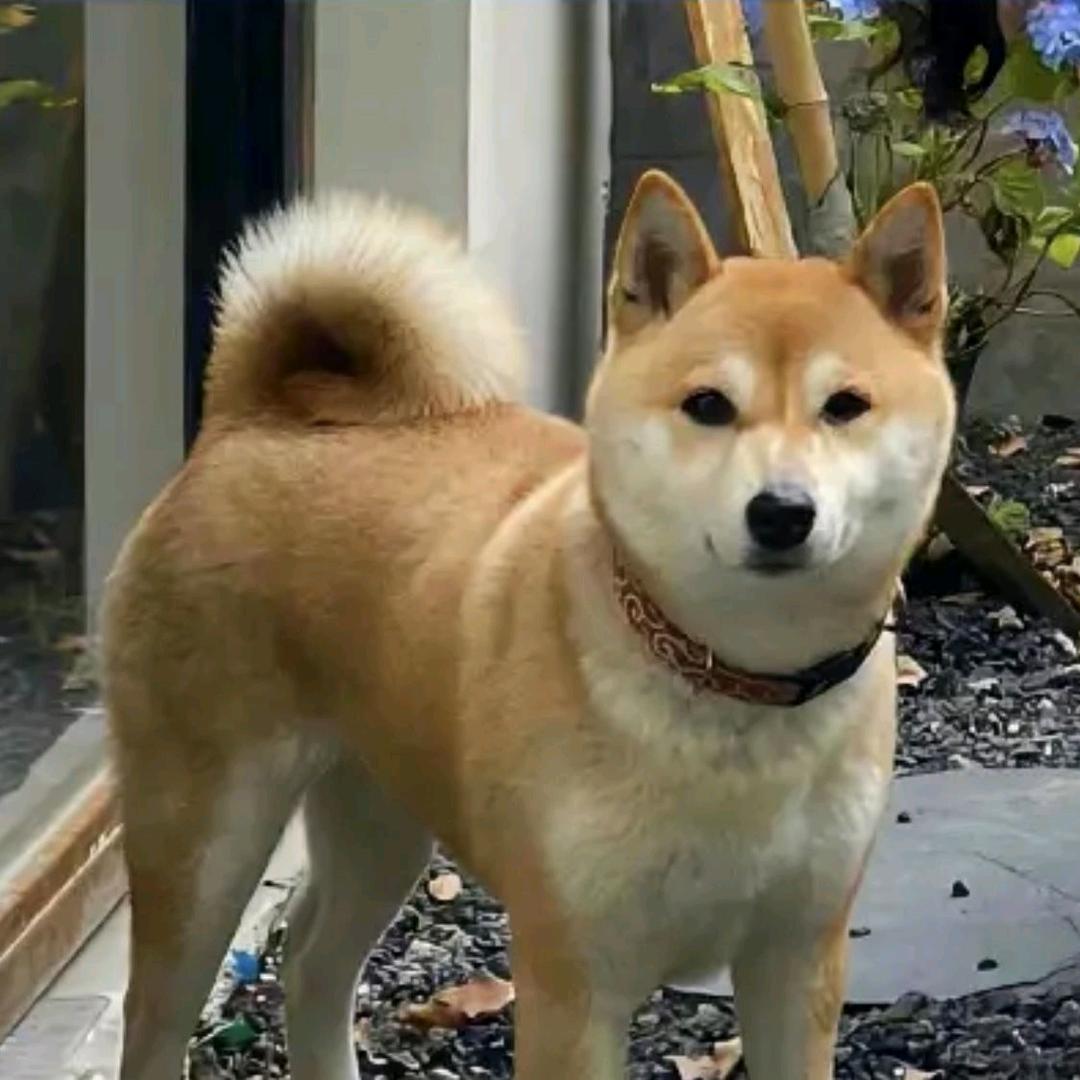 烨烨烨烨烨烨耶
