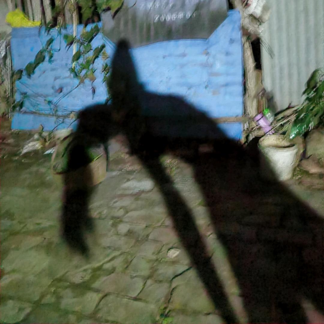 亲爱的，淡定点