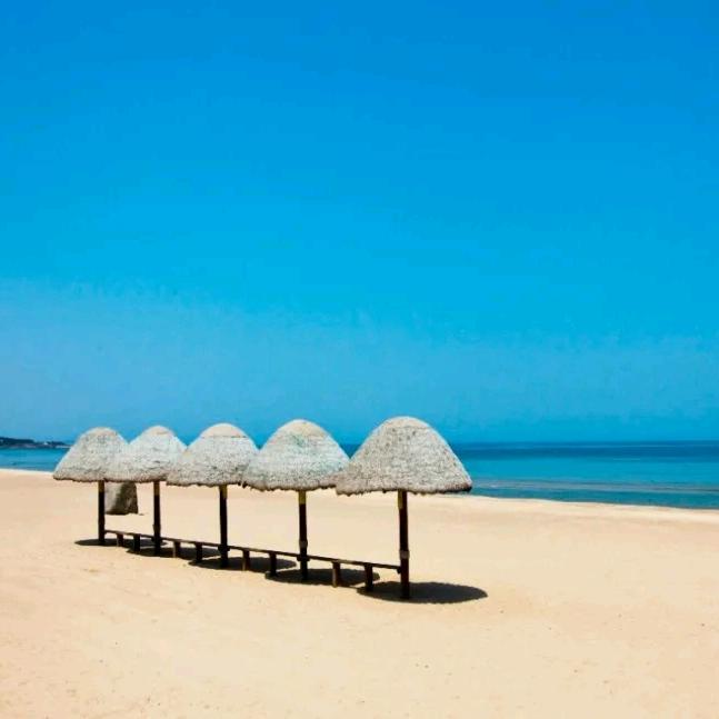 给你安家计划的一姐