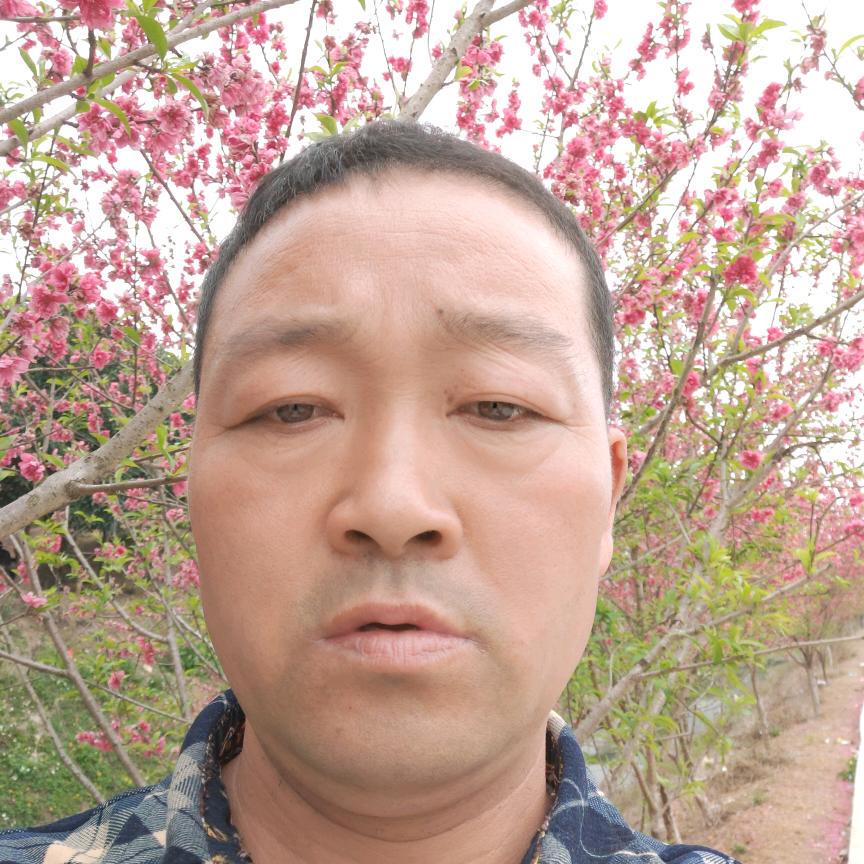 邓留成