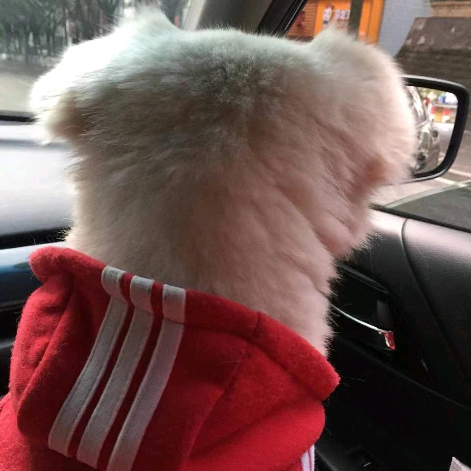 添多多