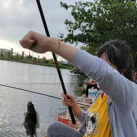 任逍遥休闲垂钓