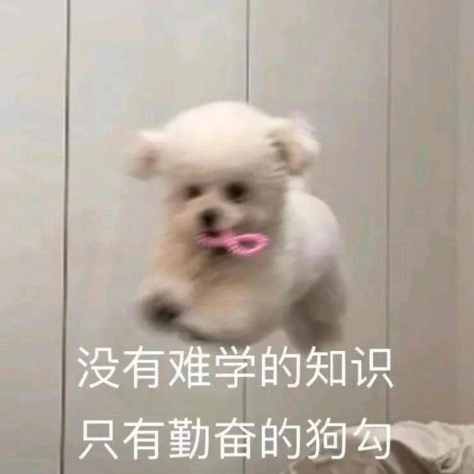 爱吃鲜奶雪梨粥的唐三头像