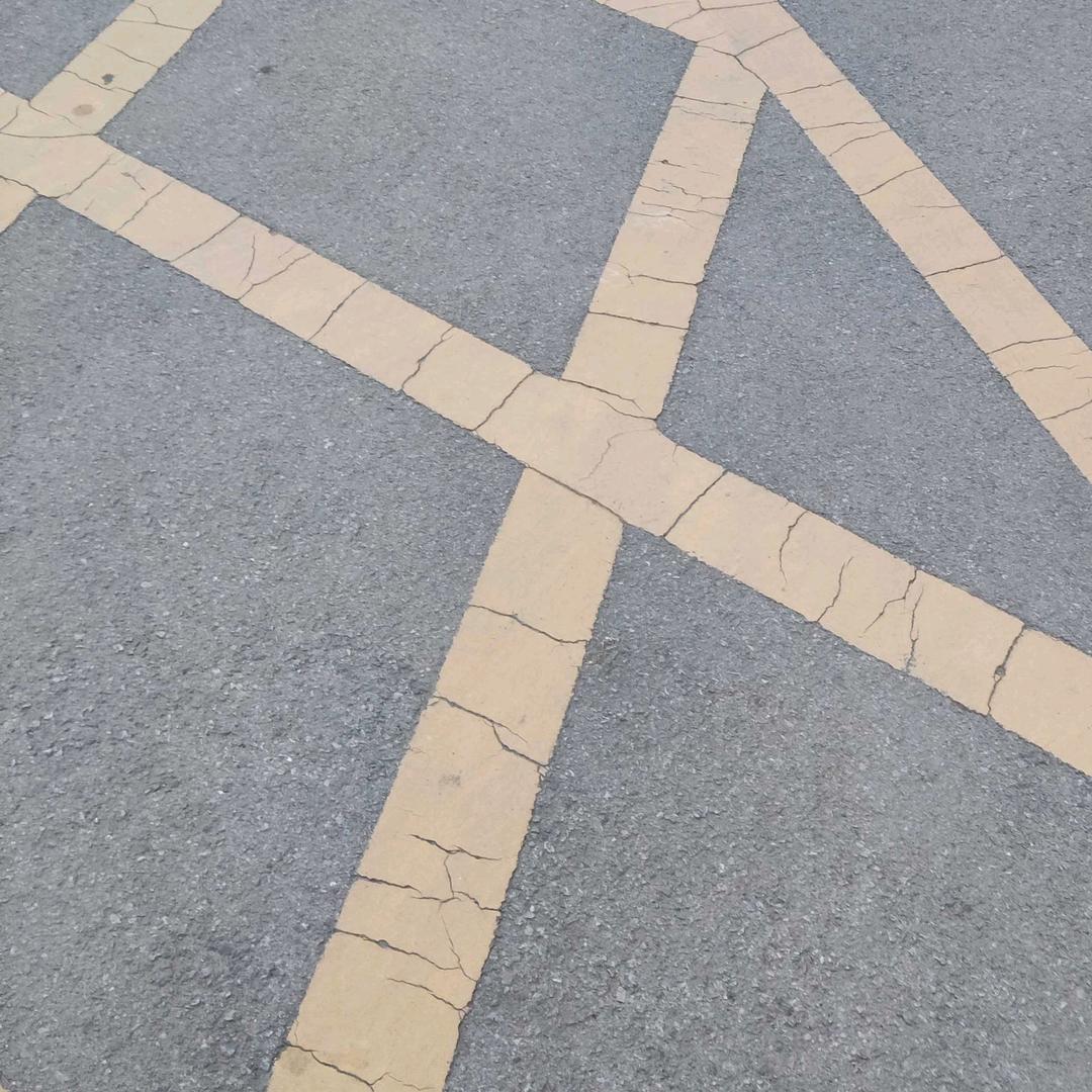 昕昕向荣