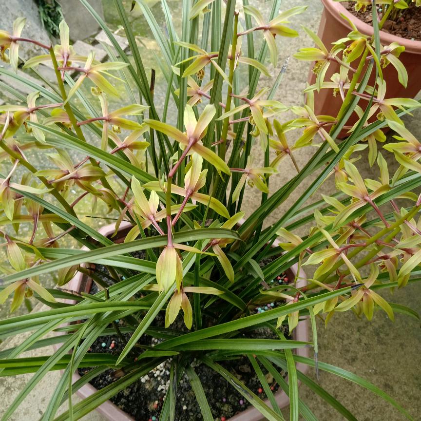无名