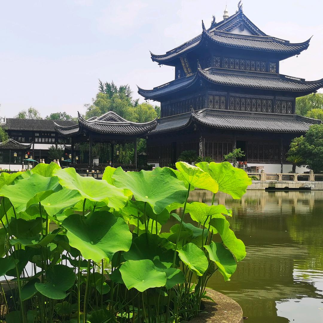 南浔文园-浙江久安公益