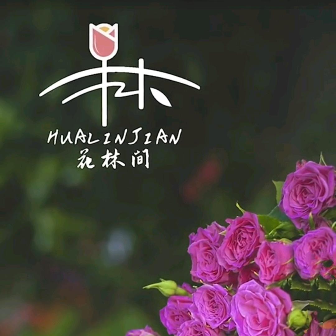 泪雨痕