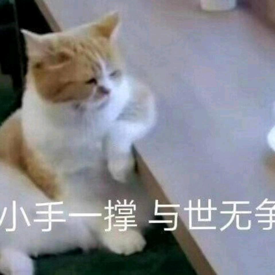 随风飘彡