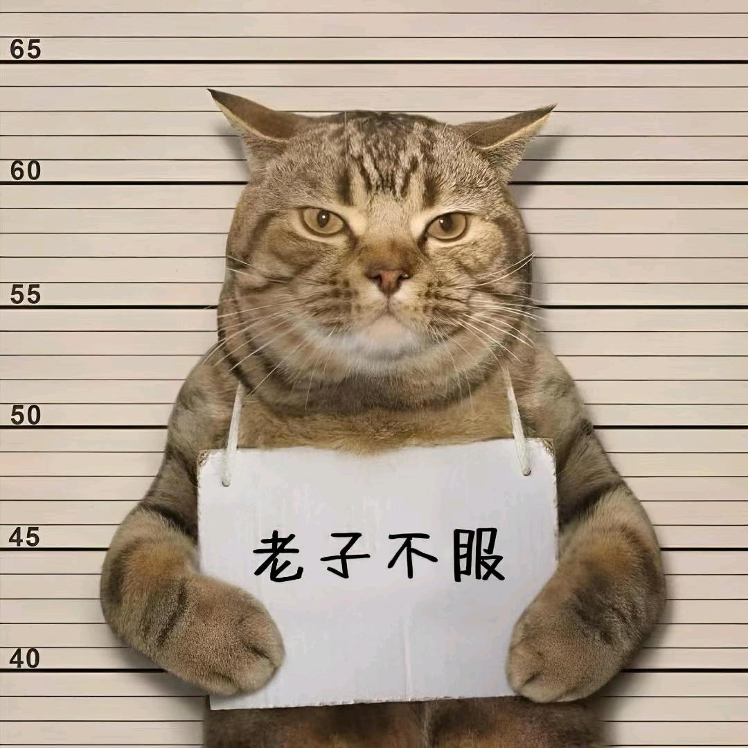 老登现做三明治