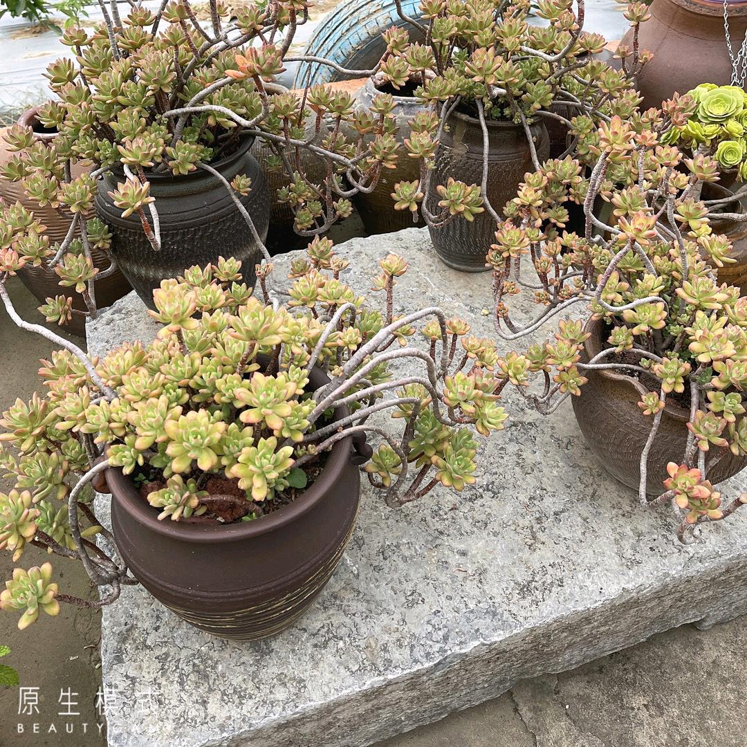 小心失去我