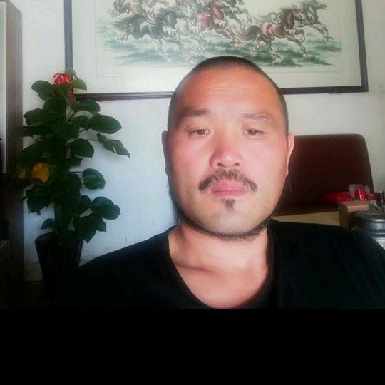 我用真心喂了狗