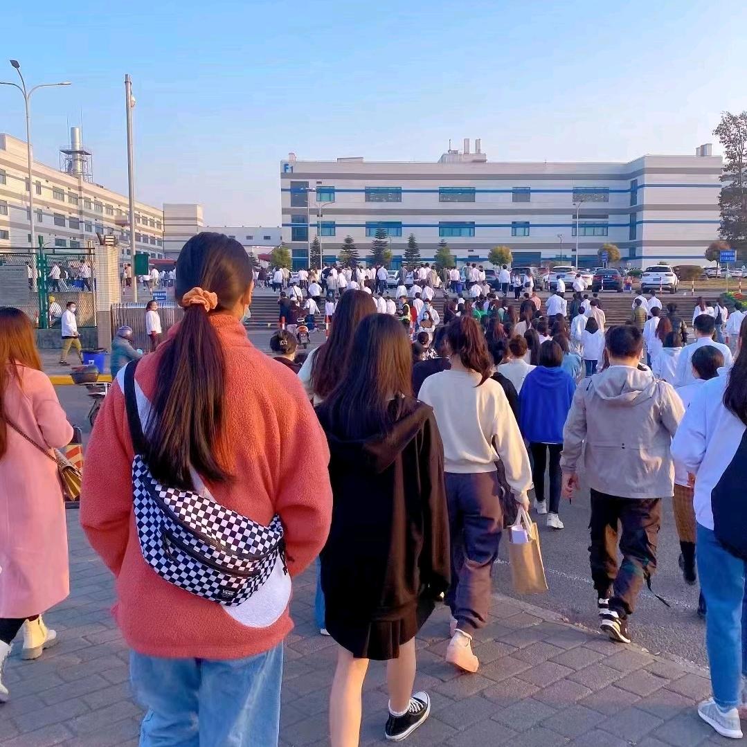 左老师在重庆人力大号