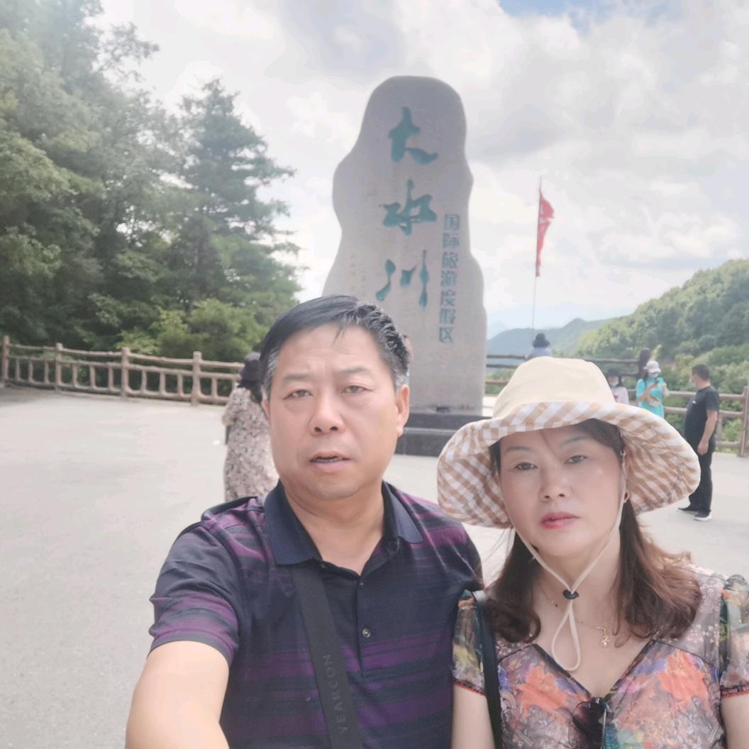 洛南宏安李
