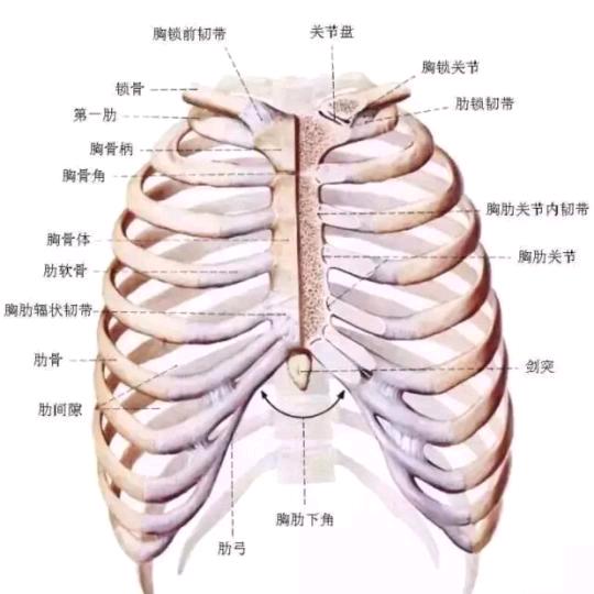 生活里的小确幸