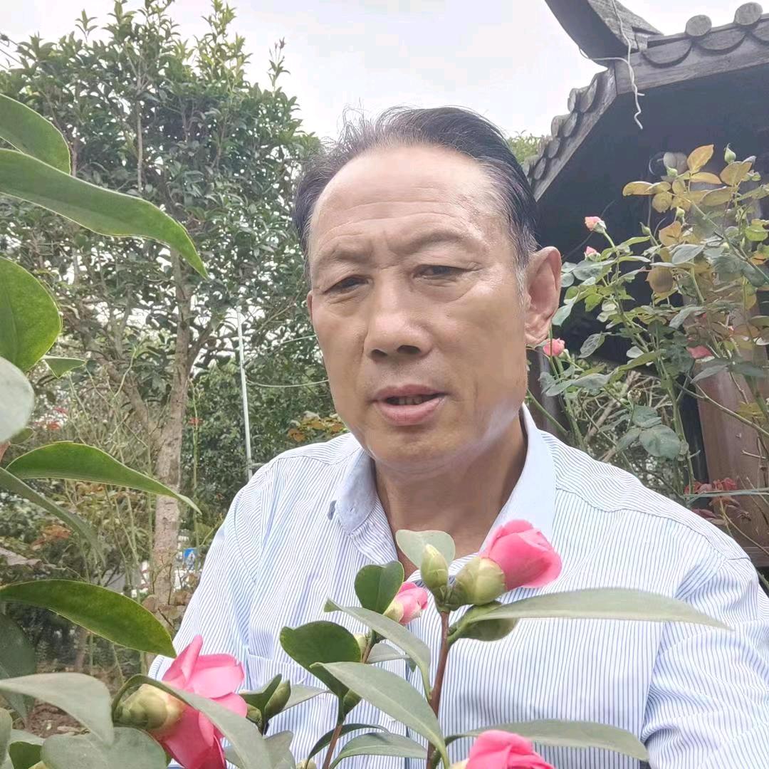 花木大王