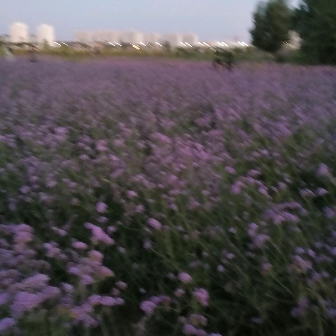 沐浴阳光