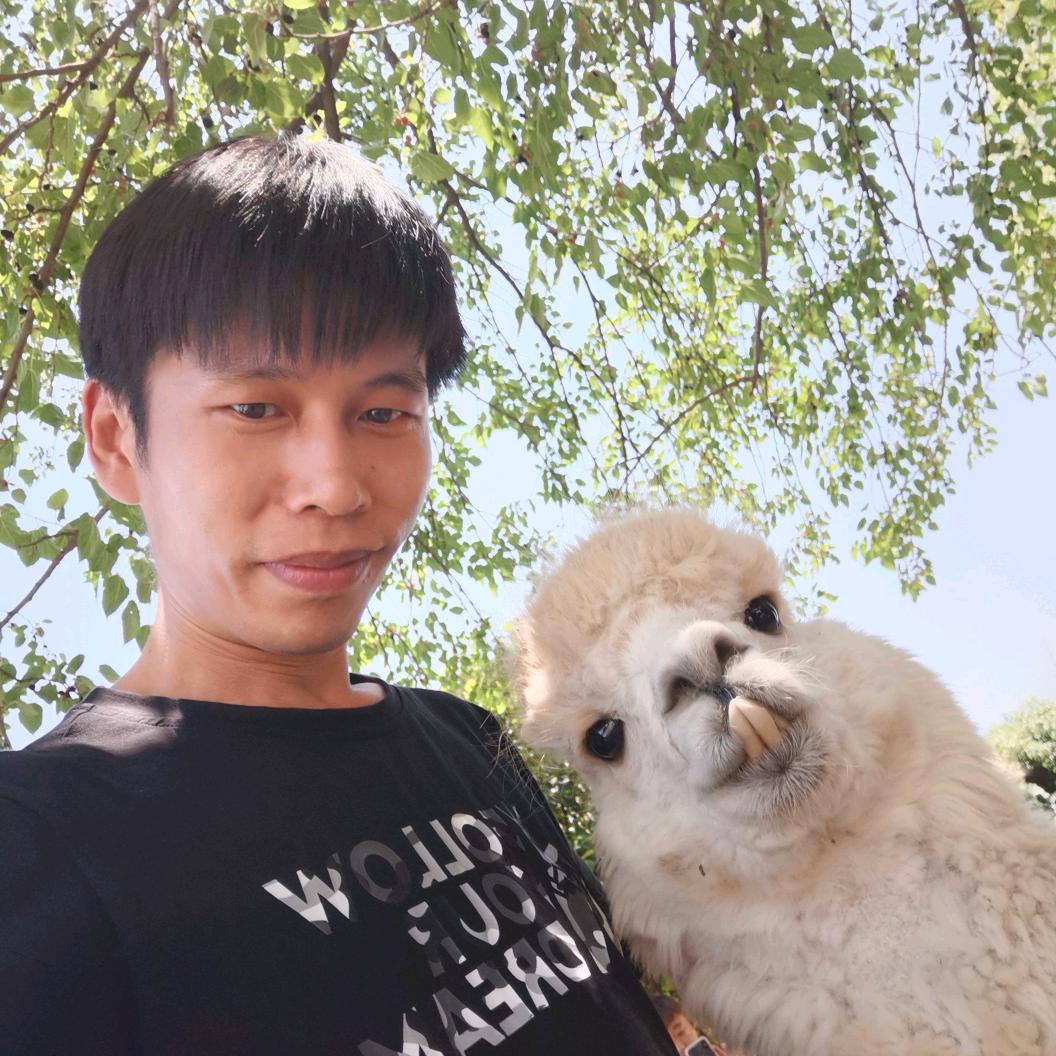 皓琳腾飞