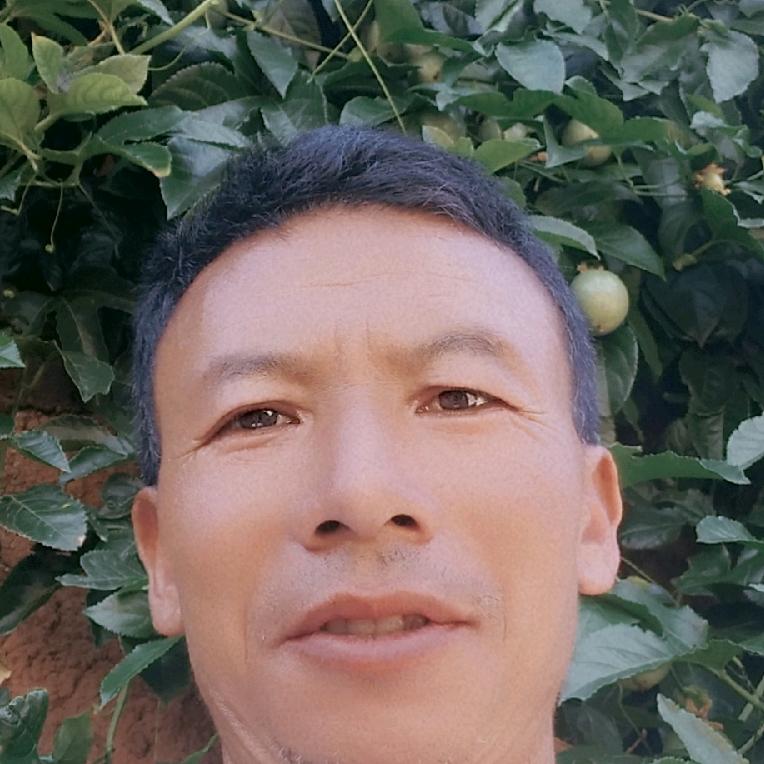 云县水磨葡萄园。原生态。