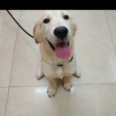 生平不识奥德彪。哪有资格吃香蕉