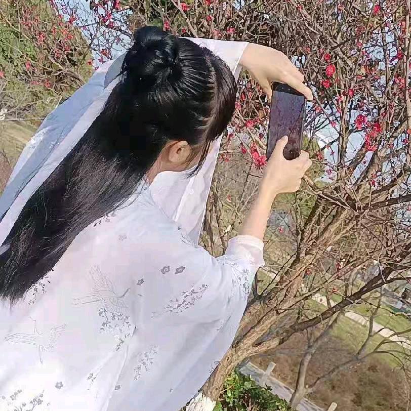 鲜紫Miss