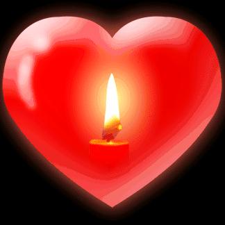 心开意解，寂静常乐！情与无情，同圆种智！