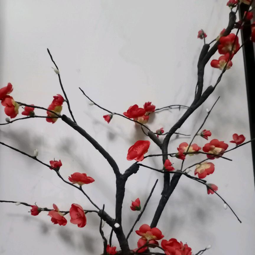 平安发财(互)